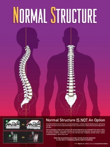 normal-structure-web